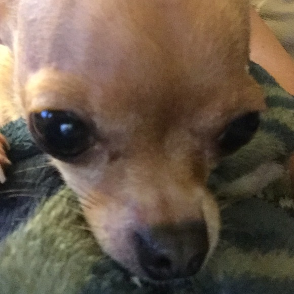 Sale 20% Off Everything Today - Picture 3 of 8